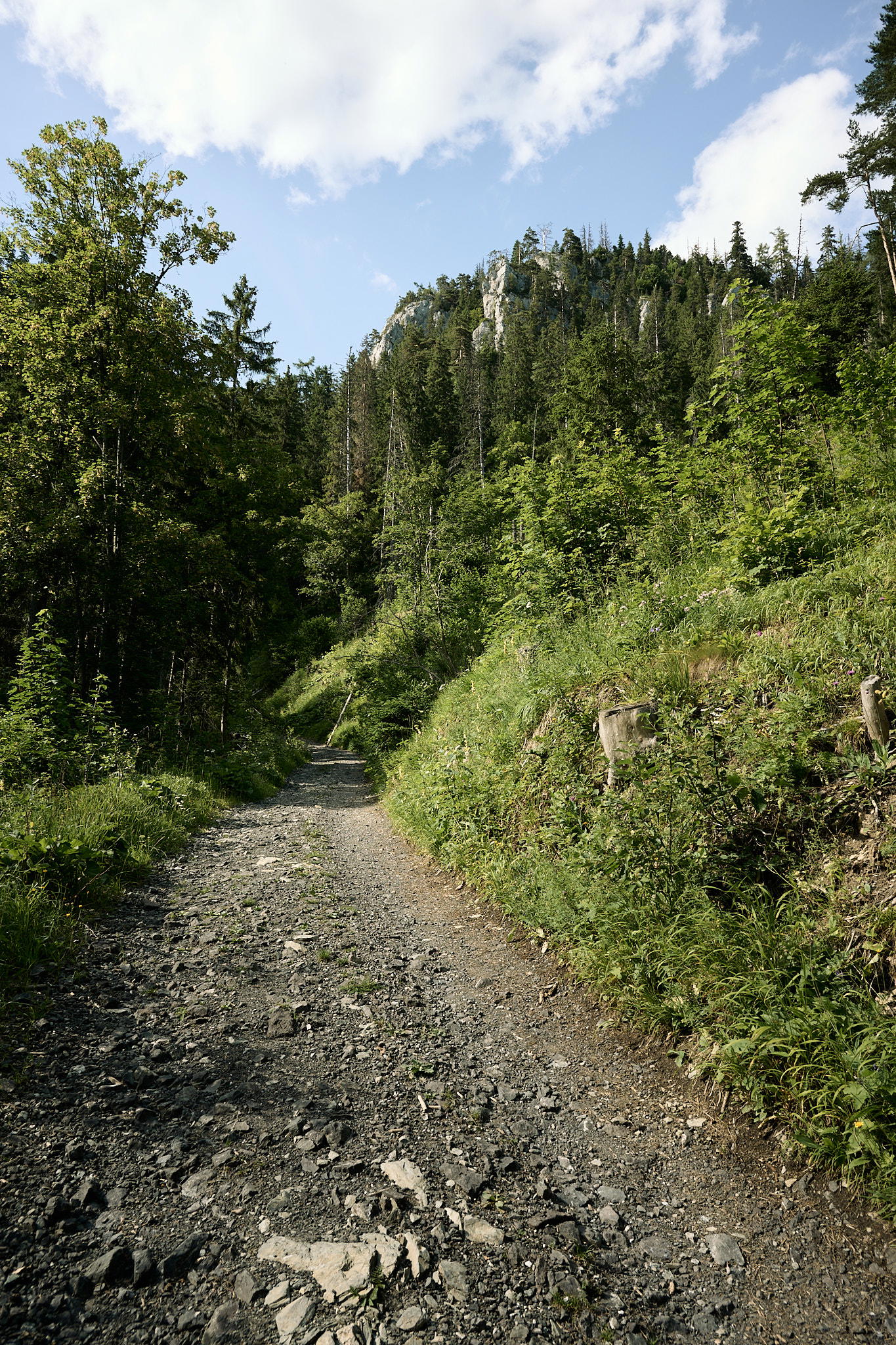 2025-07-12 16.46.09_Tatra National Park_2048.jpg