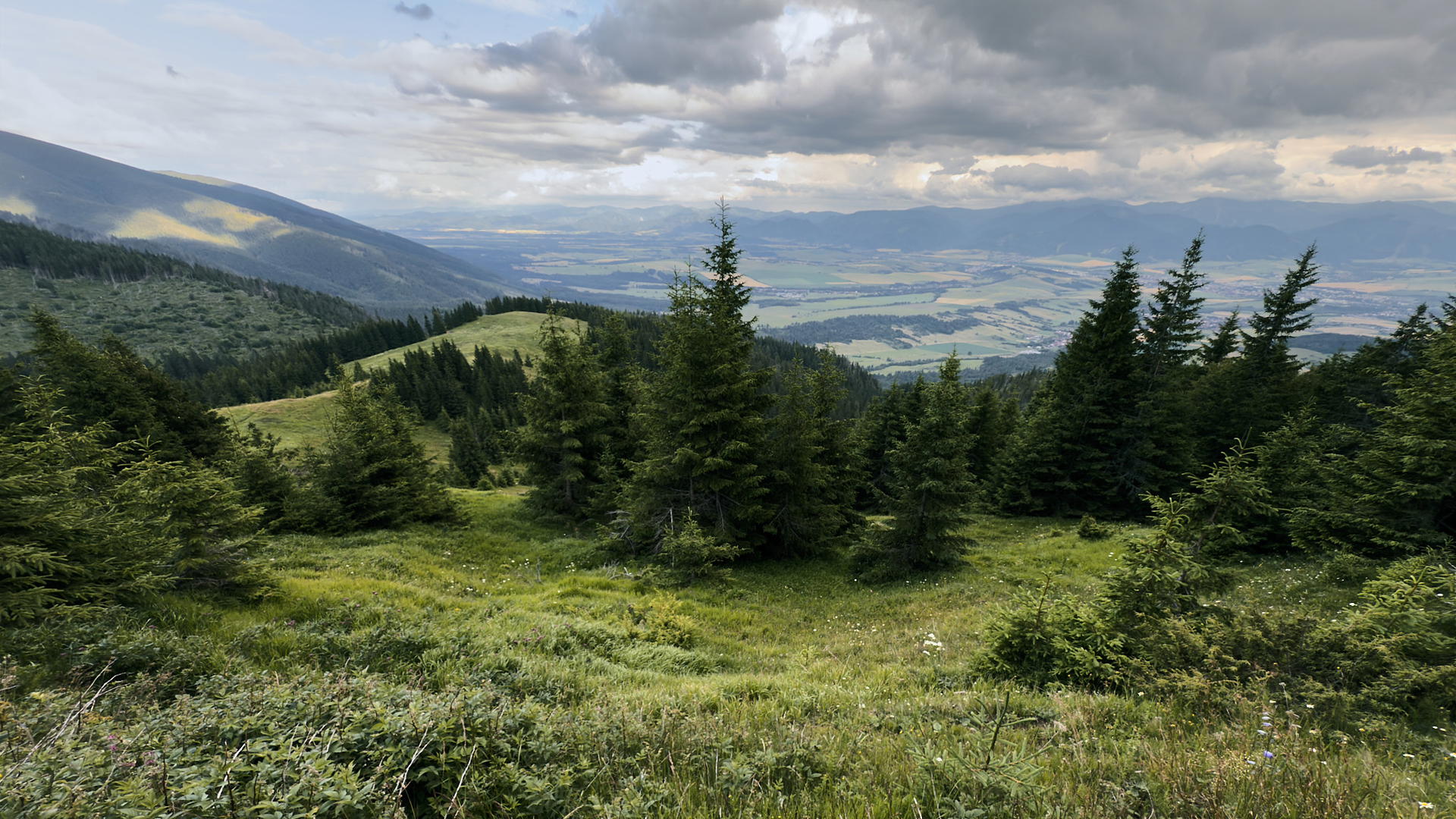2025-07-12 17.48.10_Tatra National Park_2048.jpg