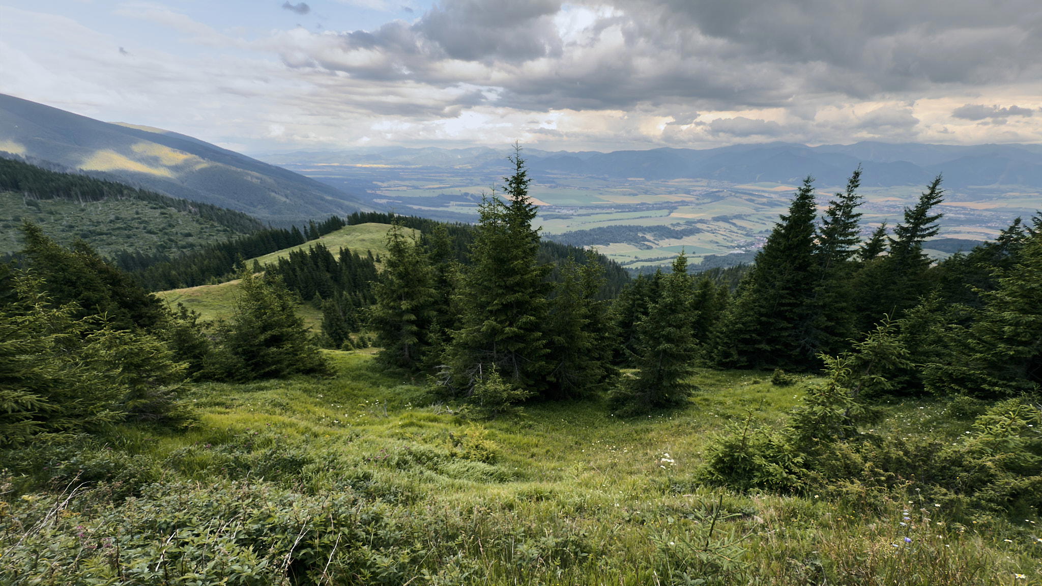 2025-07-12 17.48.10_Tatra National Park_2048.jpg