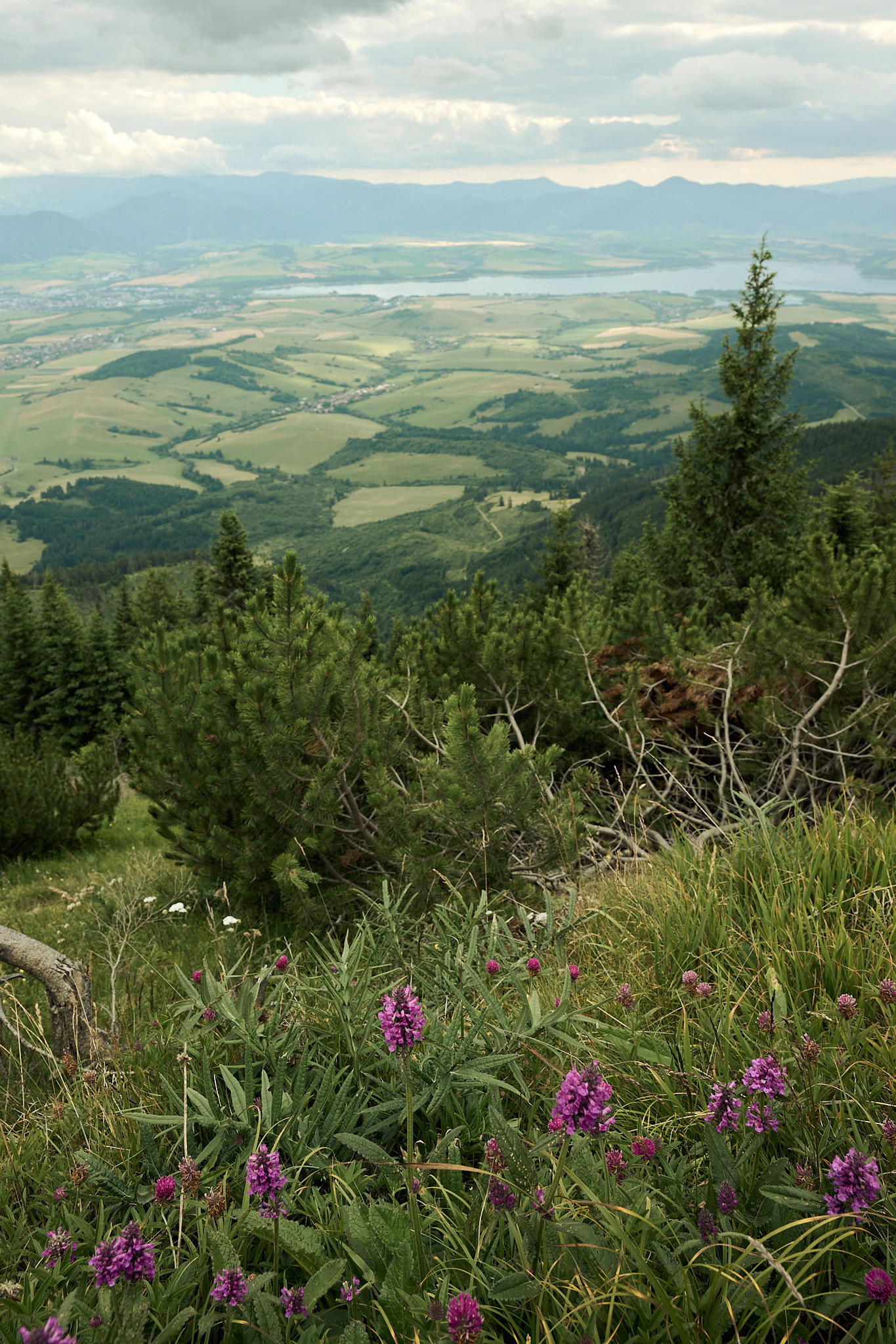 2025-07-12 18.12.03_Tatra National Park_2048.jpg
