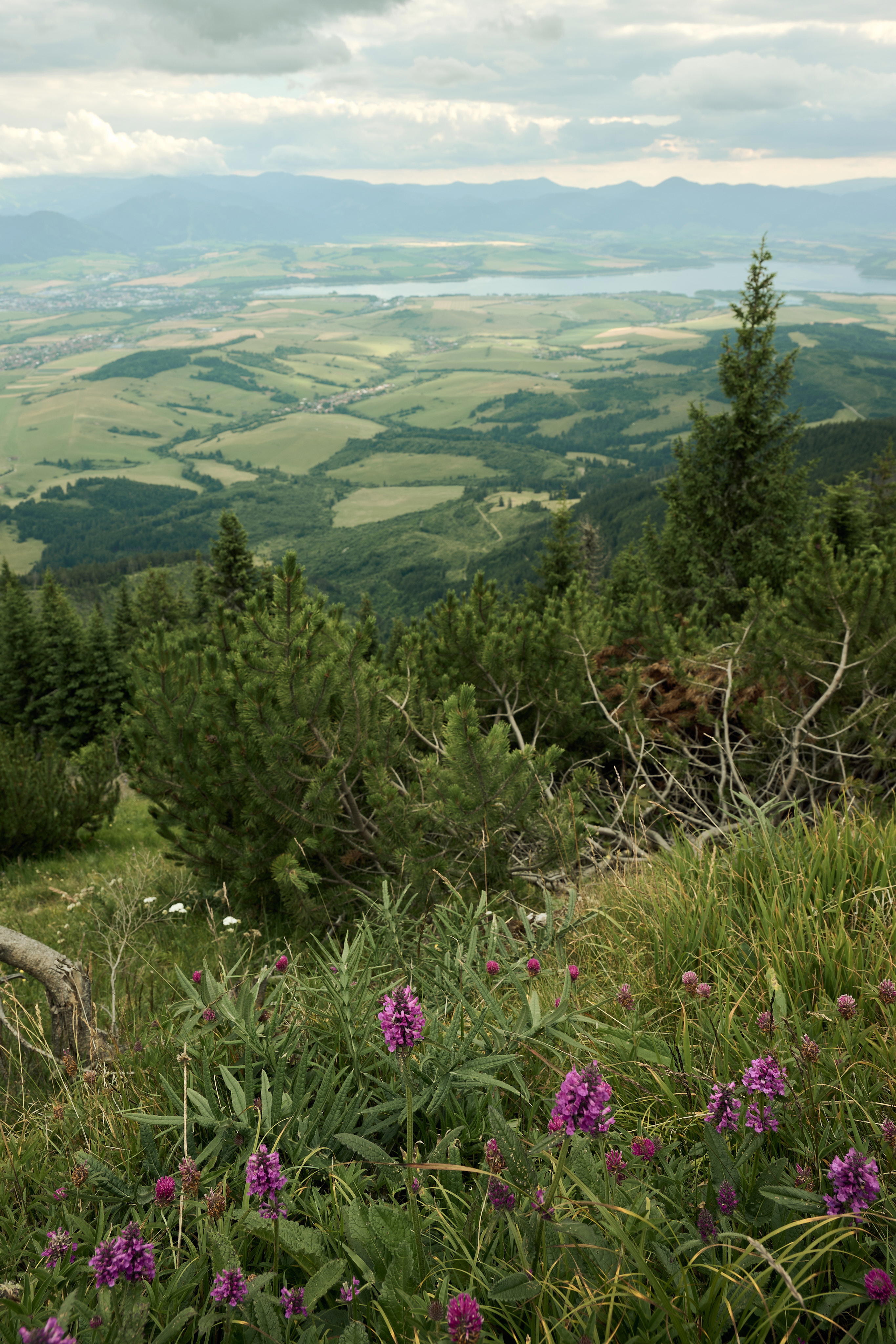 2025-07-12 18.12.03_Tatra National Park_4096.jpg