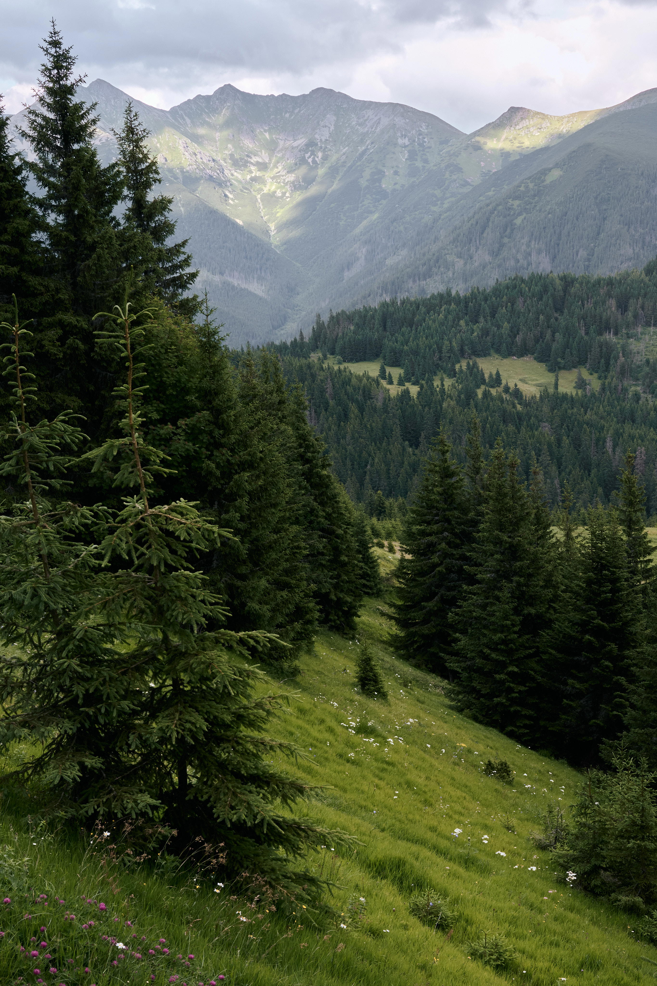 2025-07-12 18.17.03_Tatra National Park_4096.jpg