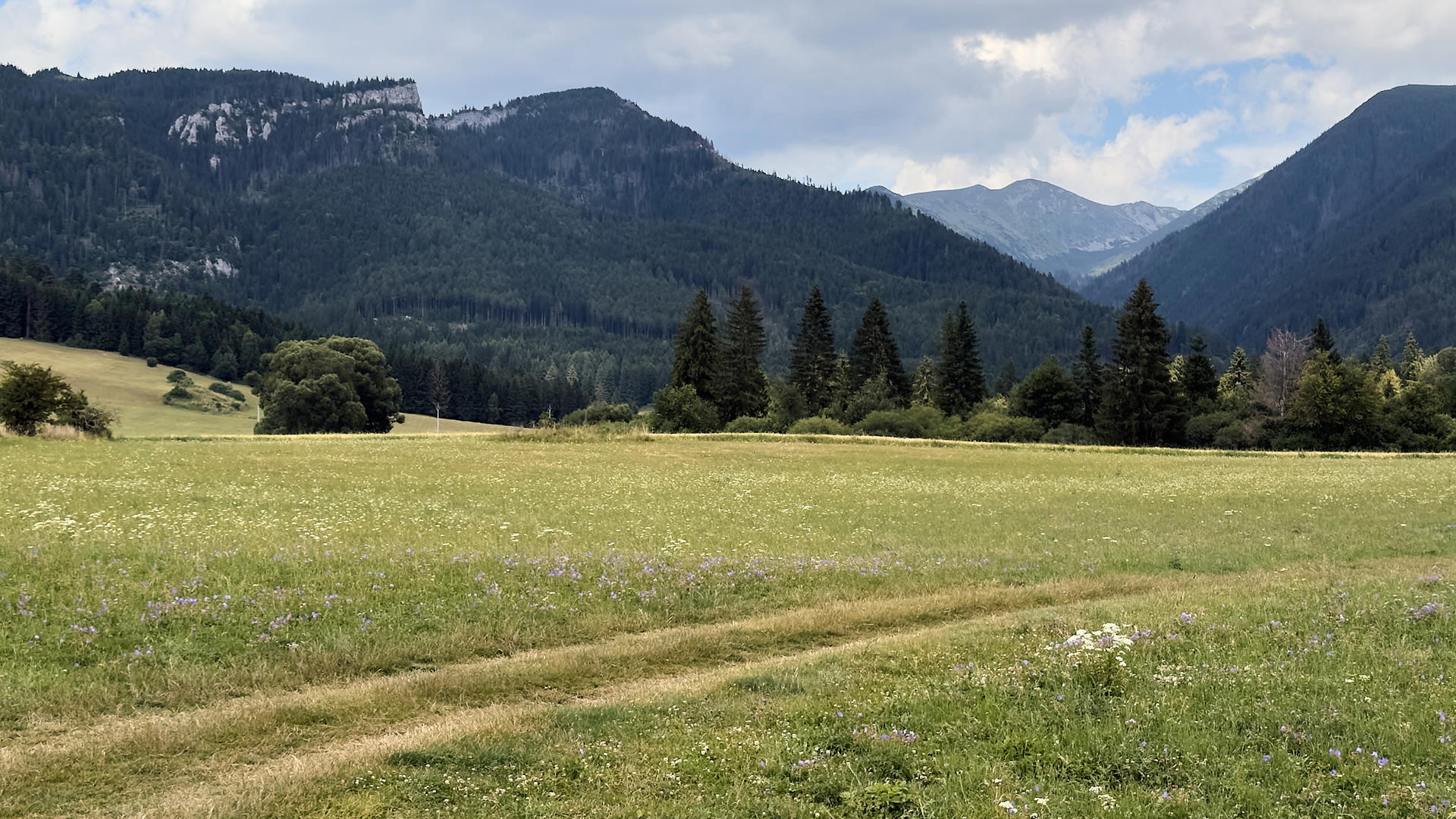 2025-07-13 13.40.19_Tatra National Park_2048.jpg