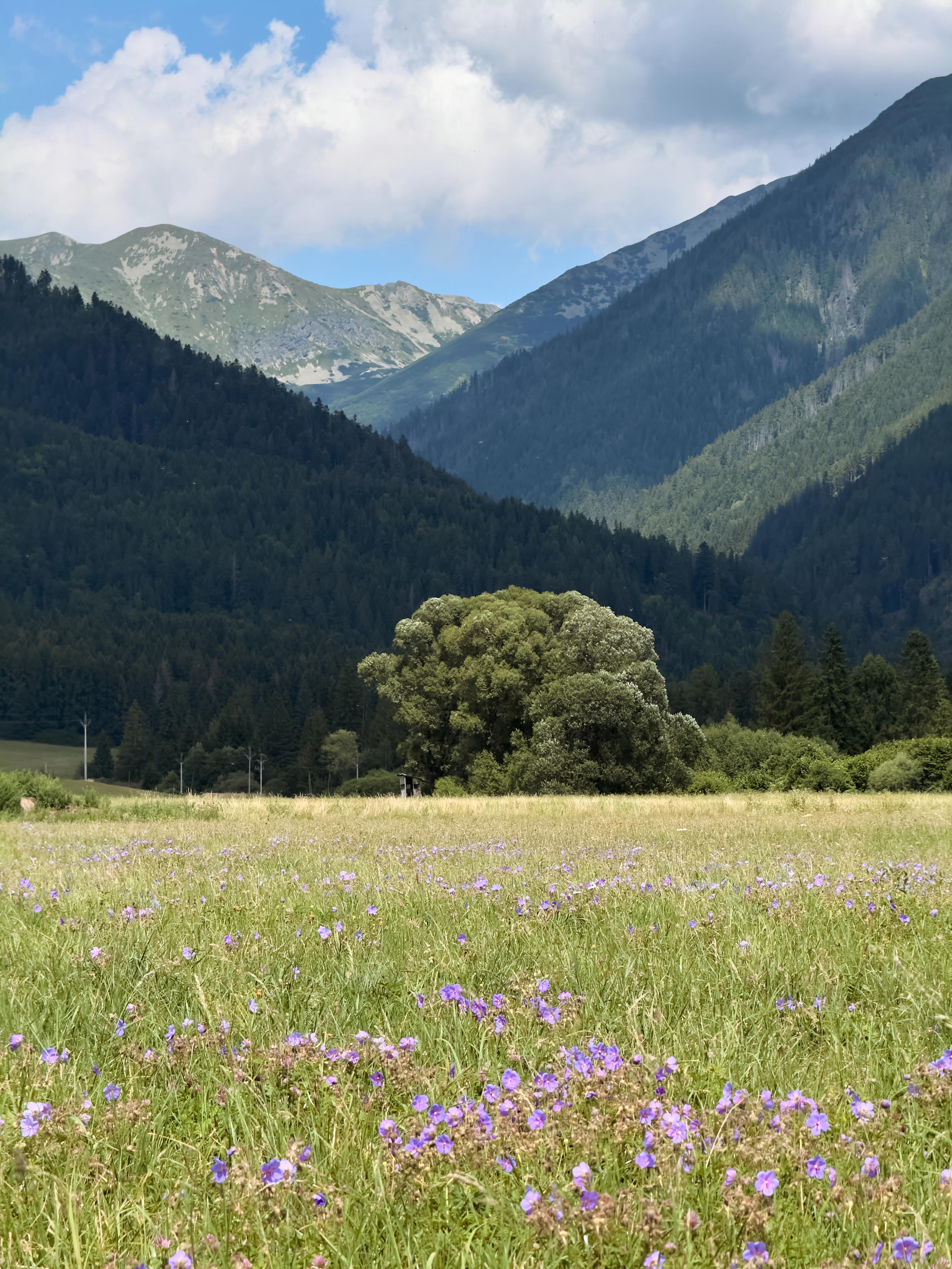 2025-07-13 14.09.40_Tatra National Park_4096.jpg