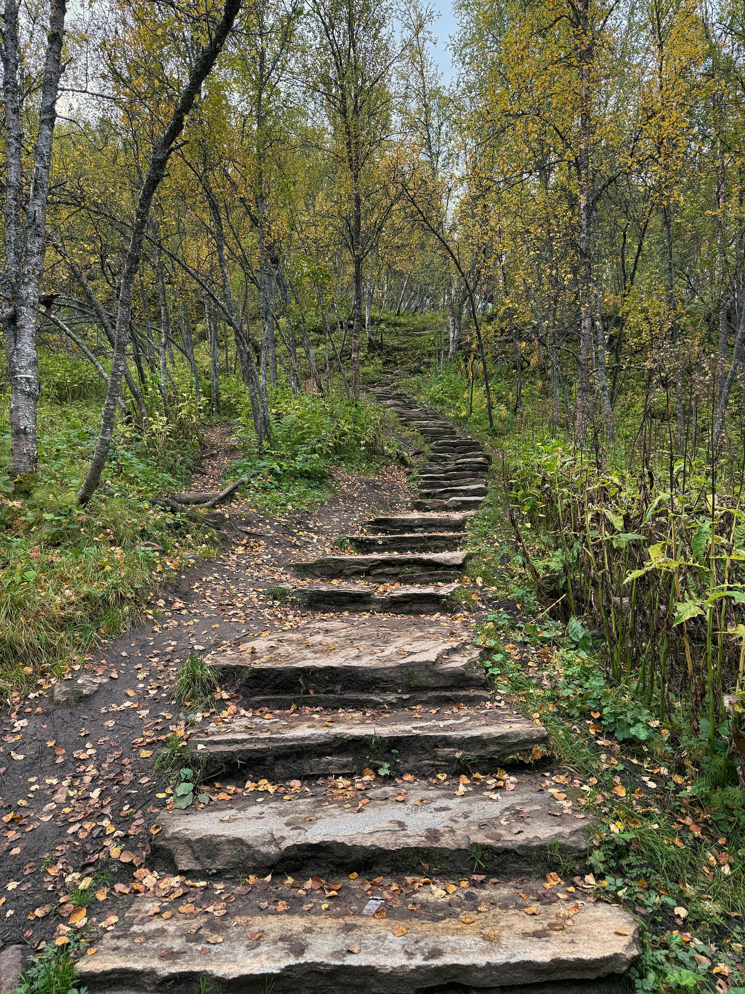 2025-09-18 12.59.04_Tromso_2048.jpg