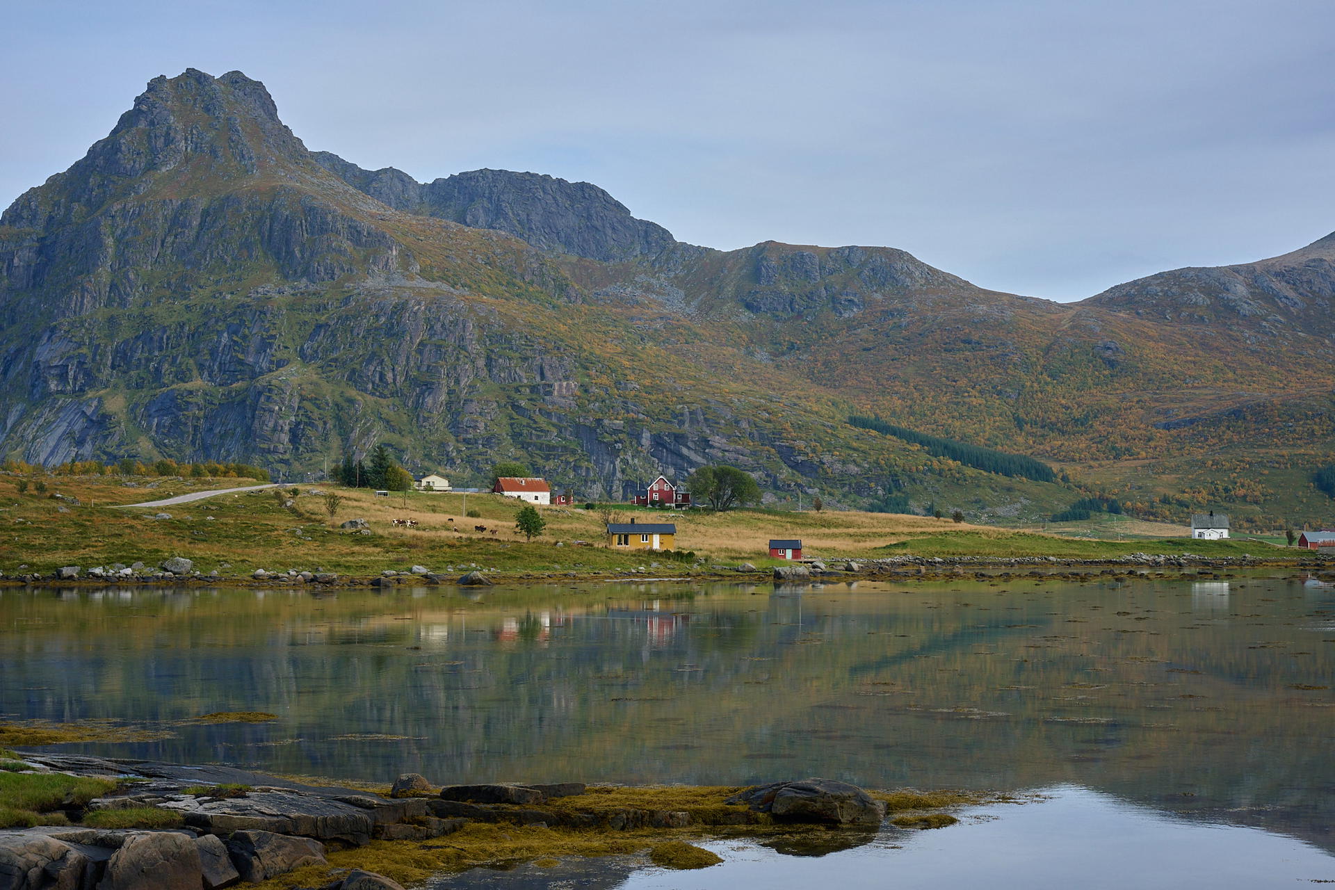 2025-09-28 14.26.10_Vikten_2048.jpg