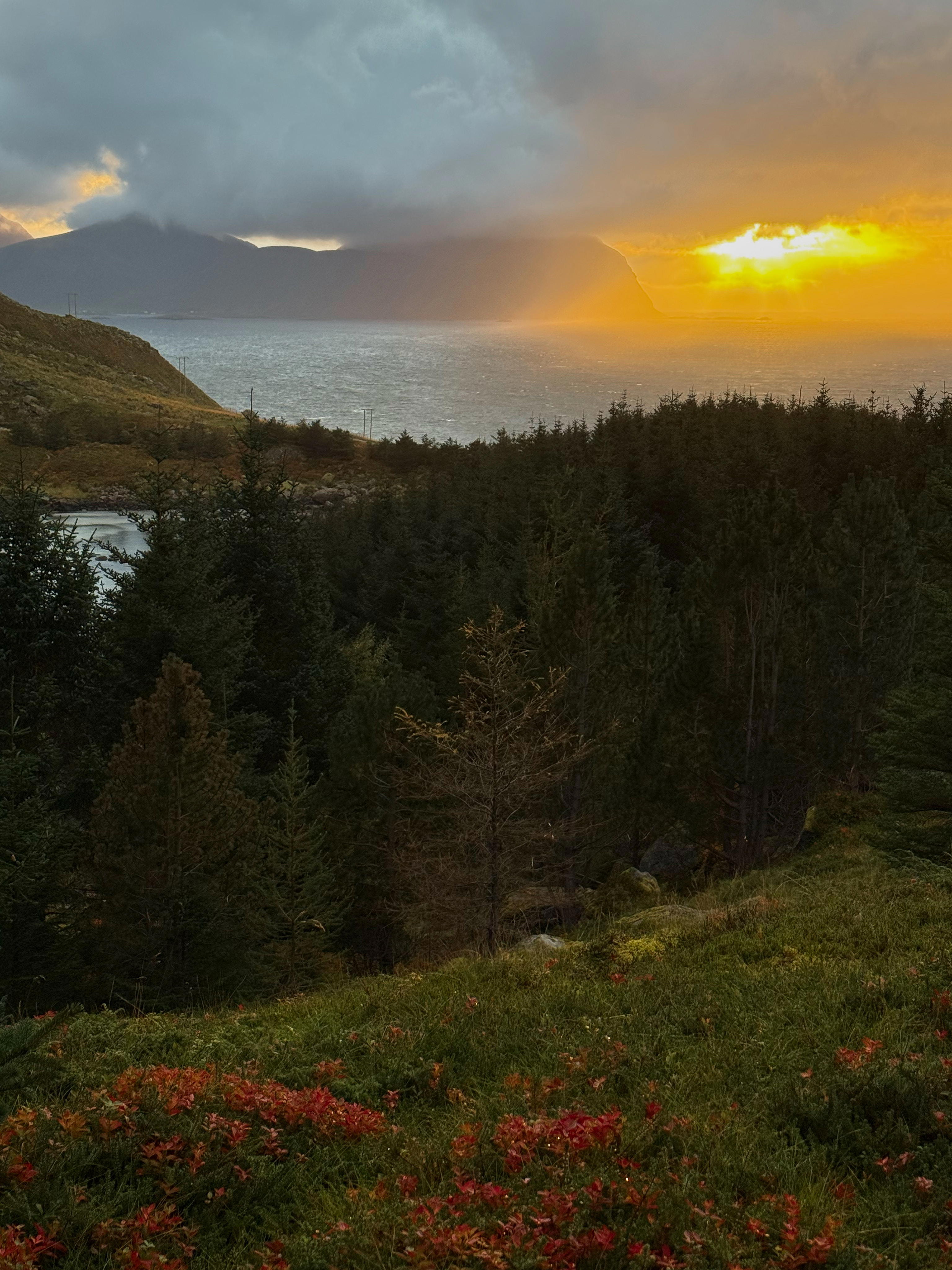 2025-09-29 18.07.52_Vikten_4096.jpg