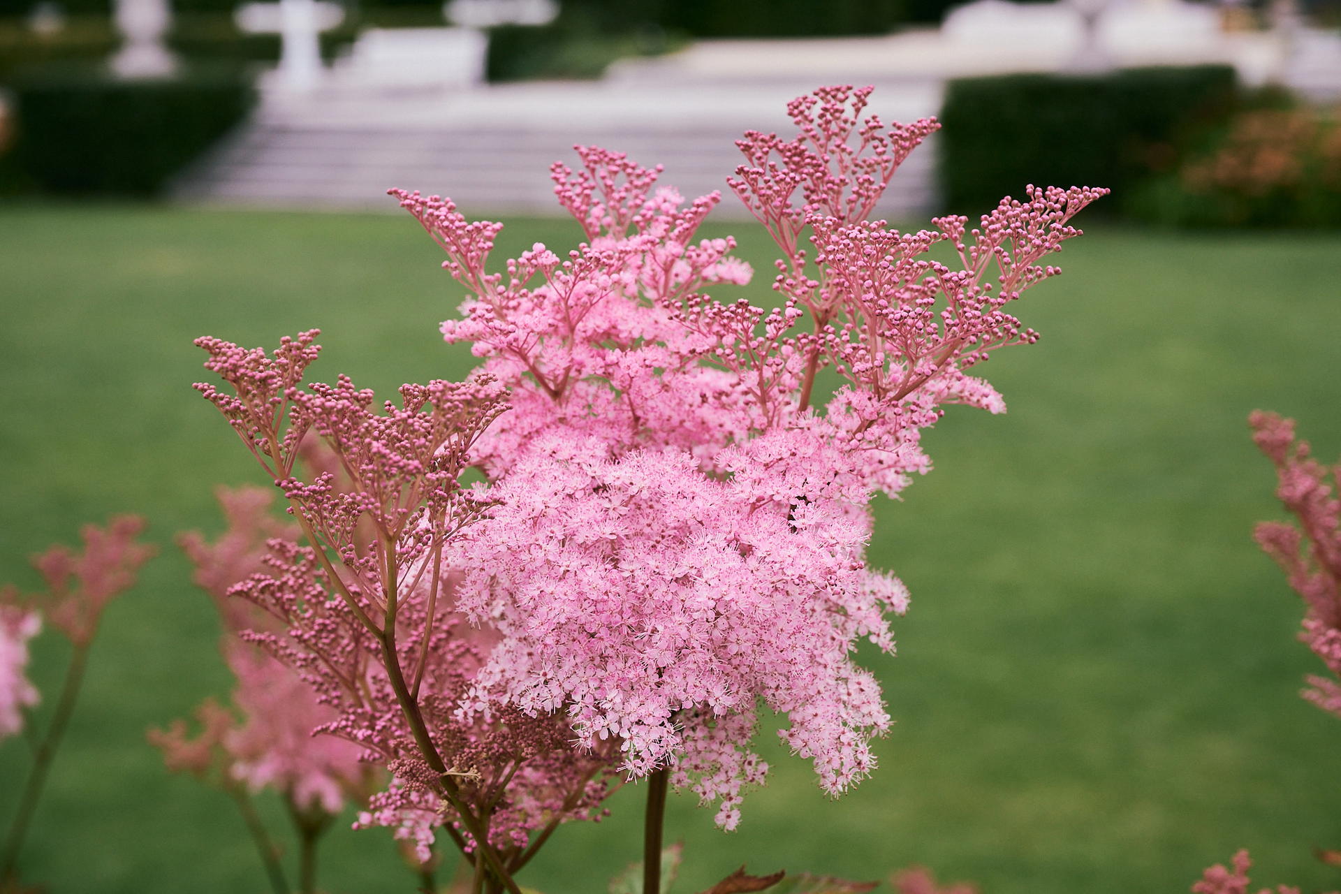 2025-07-07 19.26.29_Warszawa_2048.jpg