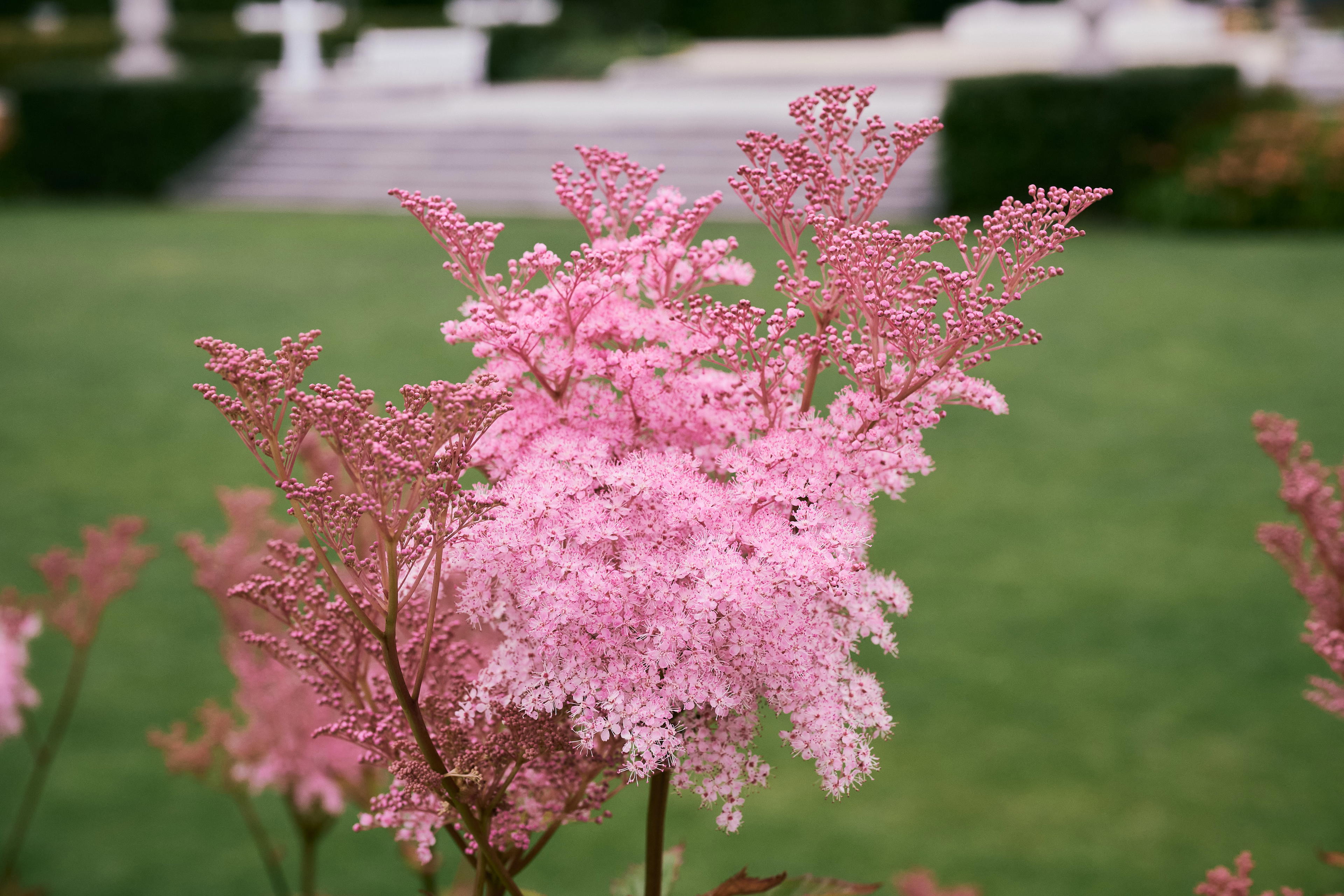 2025-07-07 19.26.29_Warszawa_4096.jpg