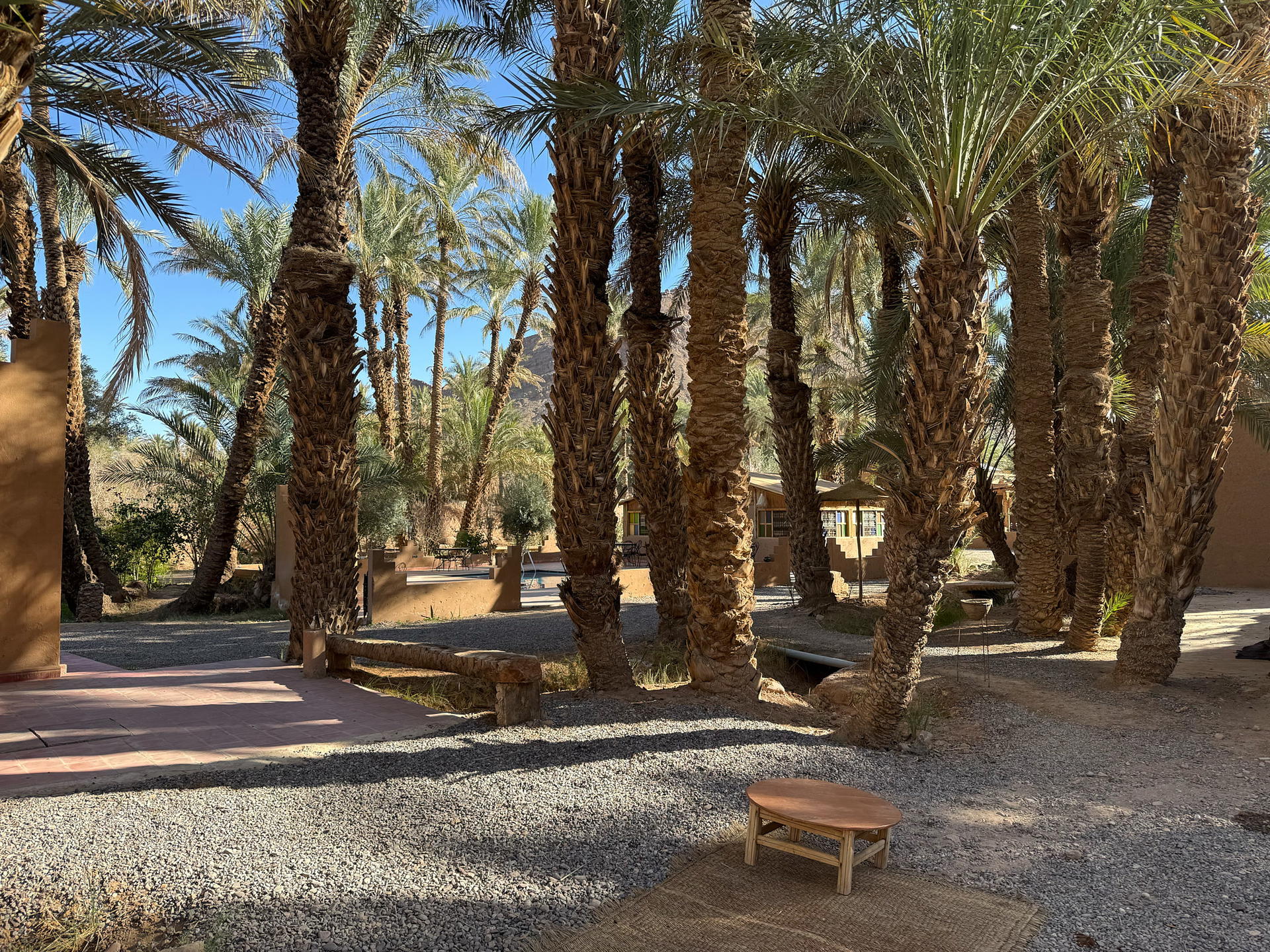 2026-02-09 10.35.29_Zagora_2048.jpg