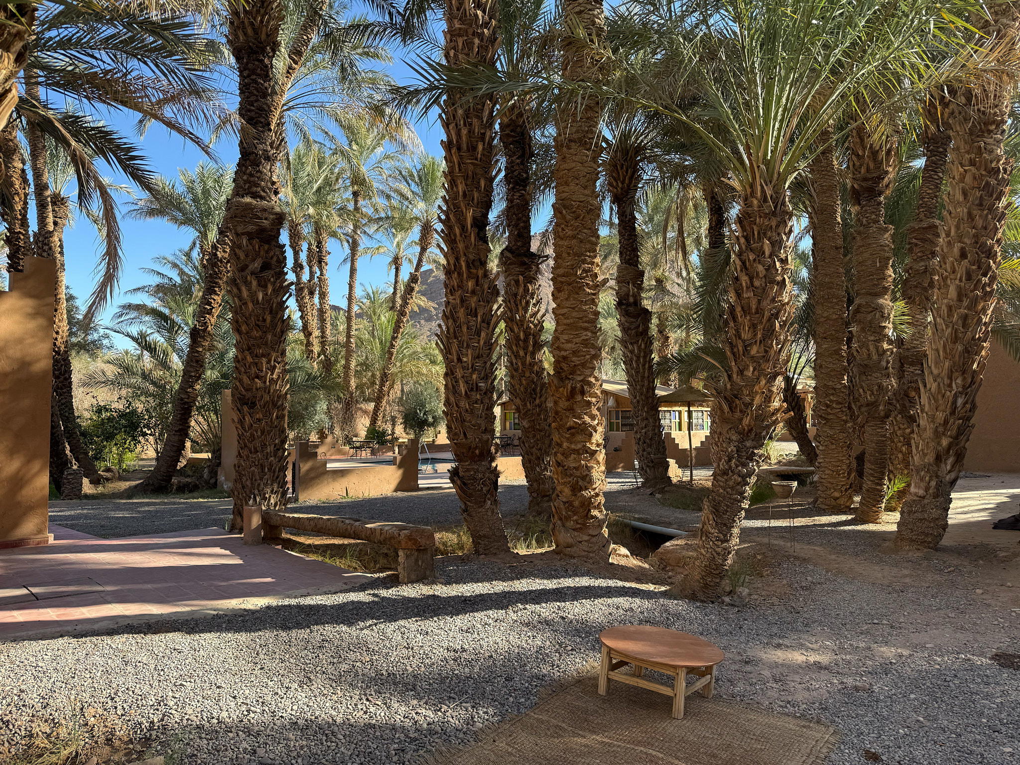 2026-02-09 10.35.29_Zagora_2048.jpg