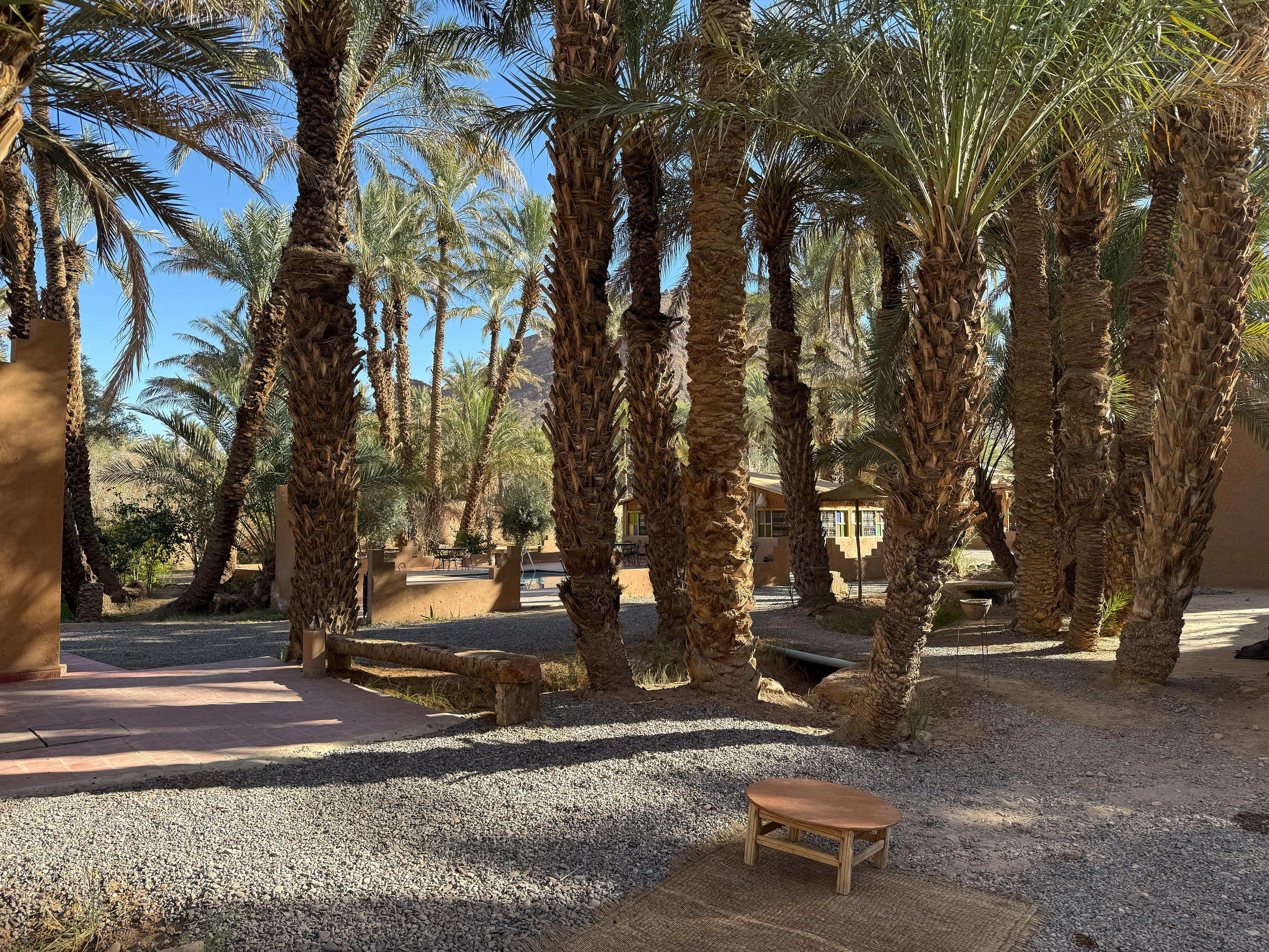 2026-02-09 10.35.29_Zagora_4096.jpg