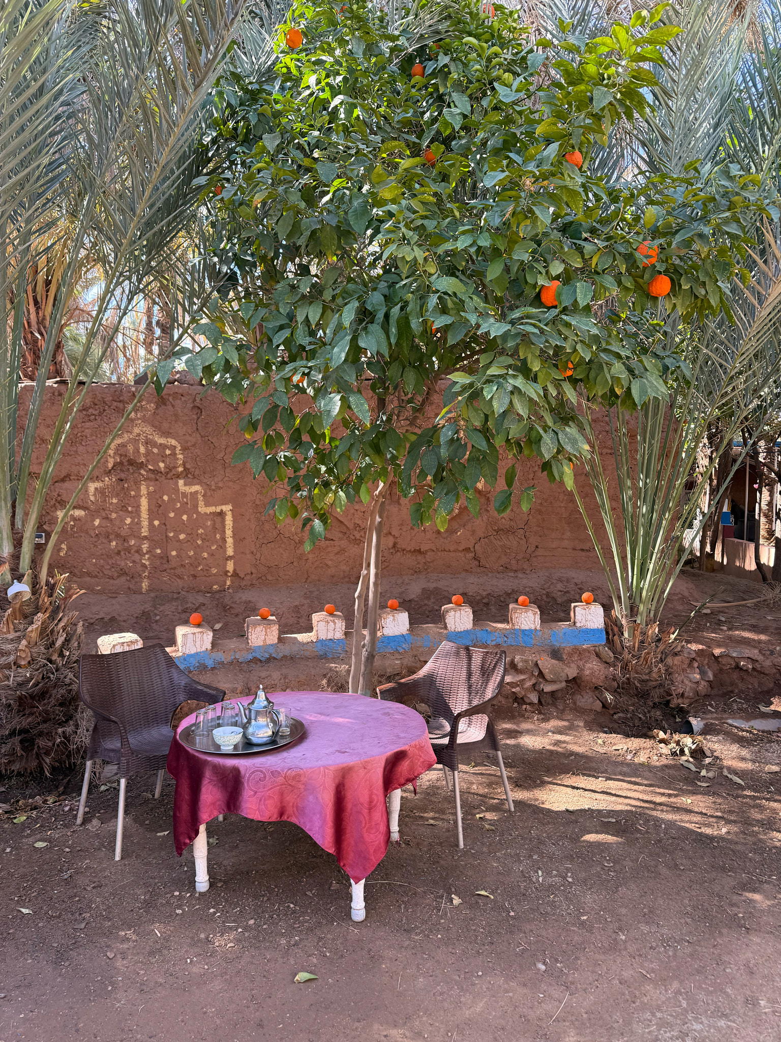 2026-02-10 11.45.09_Zagora_2048.jpg