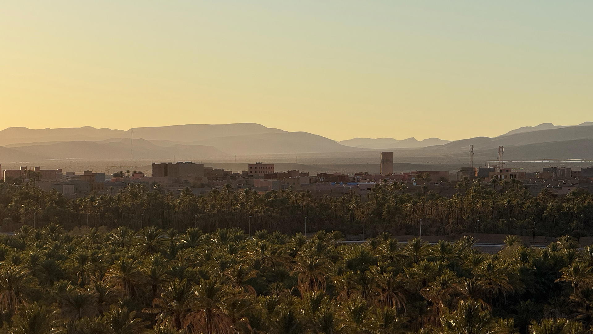 Image of Zagora from above with many palm trees