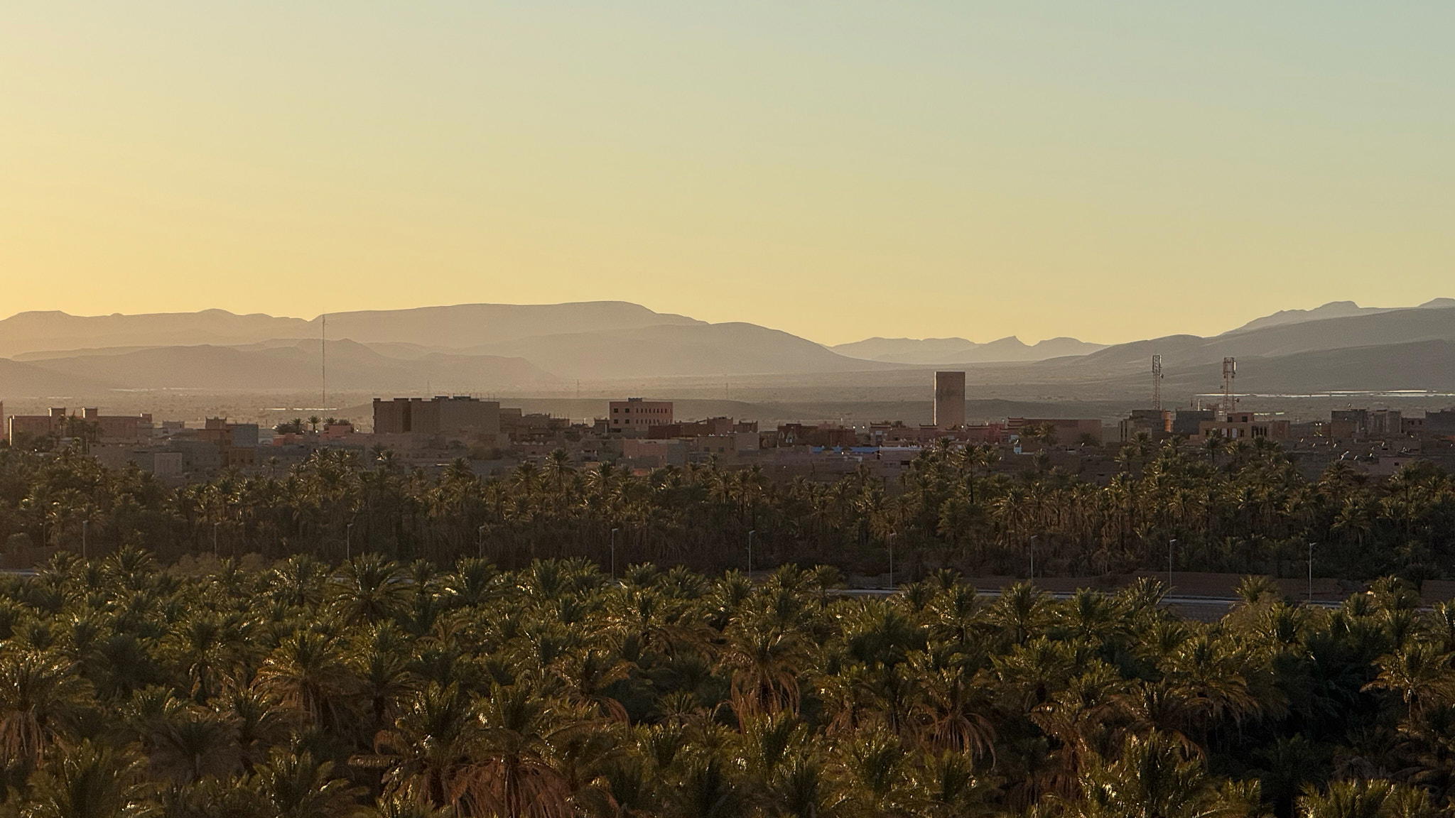 Image of Zagora from above with many palm trees