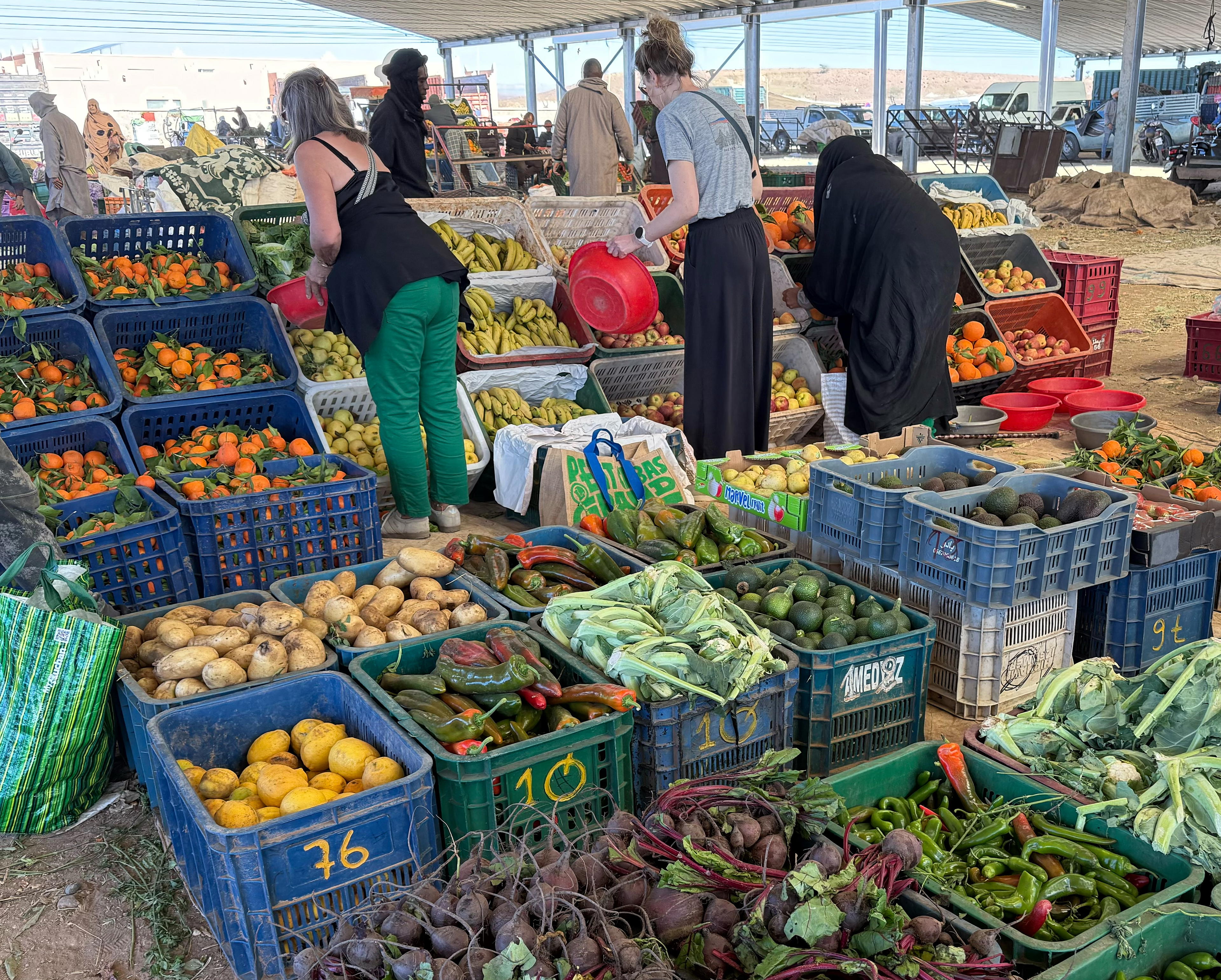 2026-02-11 11.03.48_Zagora_4096.jpg