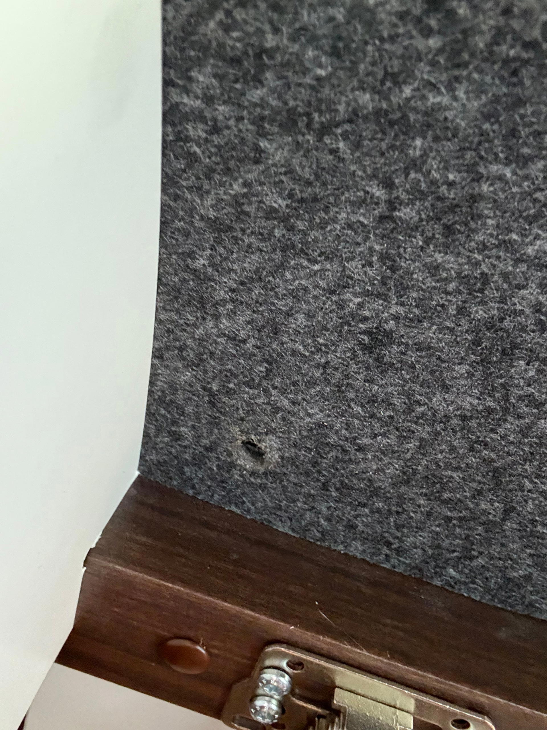 11 hole drilled.jpeg