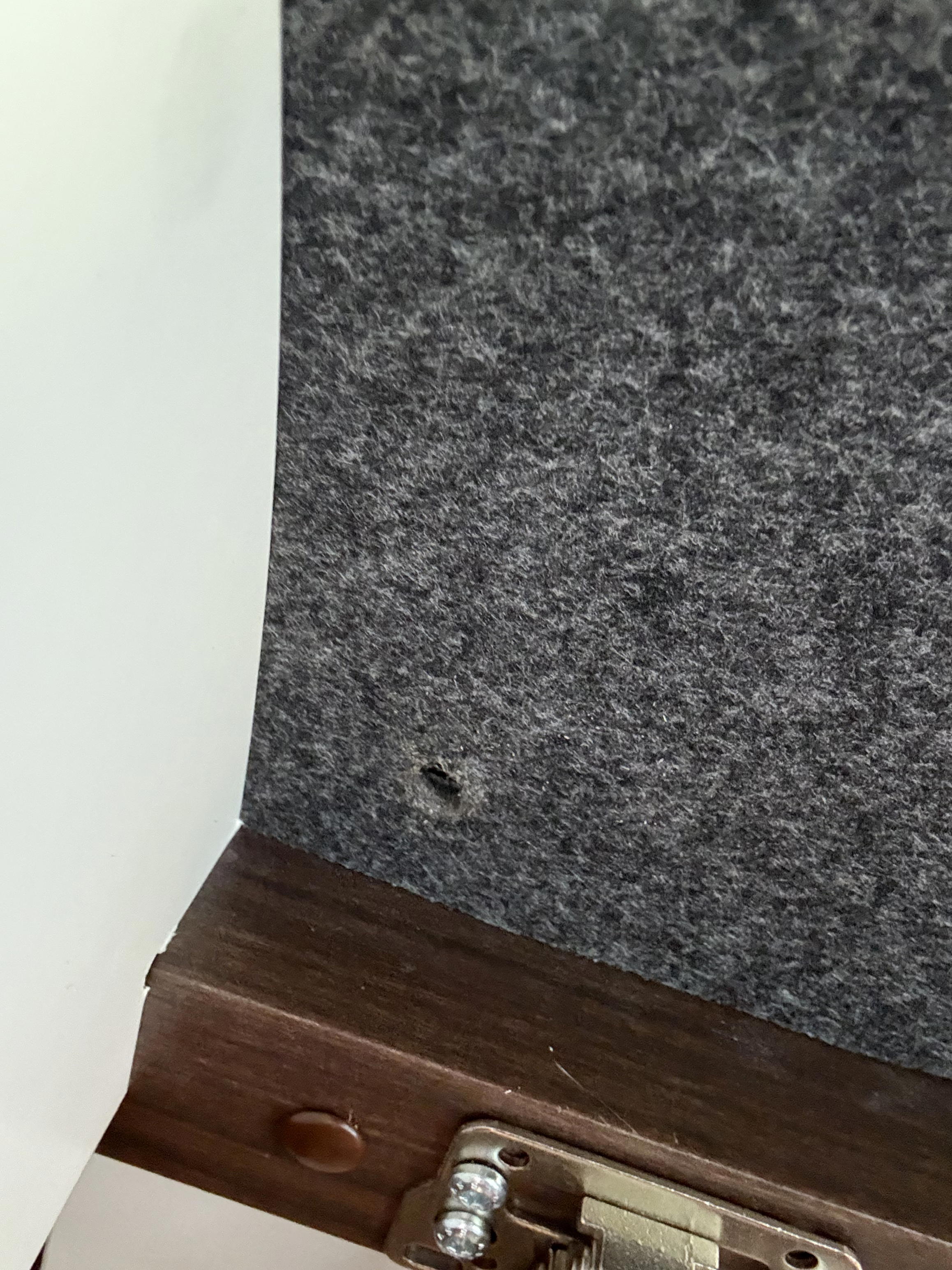 11 hole drilled.jpeg